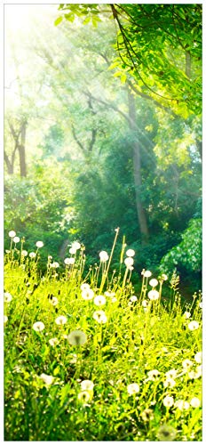 posterdepot Türtapete Türposter Pusteblumen im Wald mit einfallenden Sonnenstrahlen - Größe 93 x 205 cm, 1 Stück, ktt0546 von posterdepot