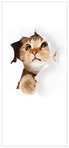 posterdepot ktt0155 Türtapete Türposter Katze mit Blick nach Oben-Größe 93 x 205 cm von posterdepot