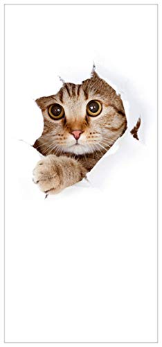 posterdepot ktt0162 Türtapete Türposter Katze mit Blick nach vorn-Größe 93 x 205 cm von posterdepot