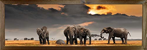 postergaleria Bild im Rahmen Plakat Modern Wand Künstlerisch Verschiedene Themen 35x100 cm (vier Elefanten) von postergaleria
