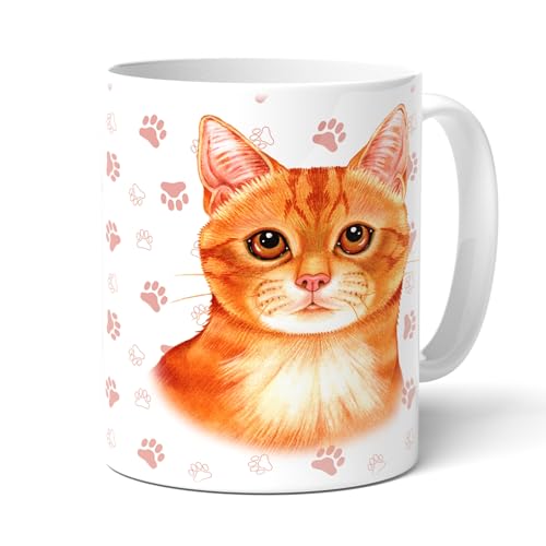 INGWER KATZE A (70) - Tasse mit Spruch und Kater, Miezekatze, Hauskatze Motiv. Geschenk für Frauchen, Herrchen und alle Katzen Liebhaber und Besitzer. von power gift