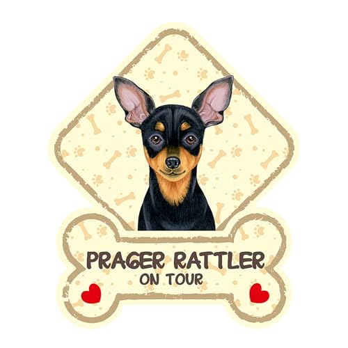 PRAGER RATTLER - Tierschild für die Autoscheibe mit Saugnäpfen. Schild für Auto mit passenden Spruch. Auffälliges Kunststoff Hunde Autoschild. PRAGER RATTLER - Tierschild für die Autoscheibe mit Saugnäpfen. Schild für Auto mit passenden Spruch. Auffälliges Kunststoff Hunde Autoschild. von power gift