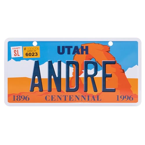 USA Staatskennzeichen mit Namen. Namensschild aus Aluminium. Wandschild, Tafel, Türschild. US-Kennzeichen. Schild mit Saugnäpfen. (Andre) von power gift