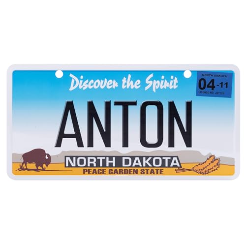 USA Staatskennzeichen mit Namen. Namensschild aus Aluminium. Wandschild, Tafel, Türschild. US-Kennzeichen. Schild mit Saugnäpfen. (ANTON) von power gift