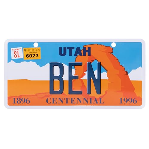 USA Staatskennzeichen mit Namen. Namensschild aus Aluminium. Wandschild, Tafel, Türschild. US-Kennzeichen. Schild mit Saugnäpfen. (Ben) von power gift