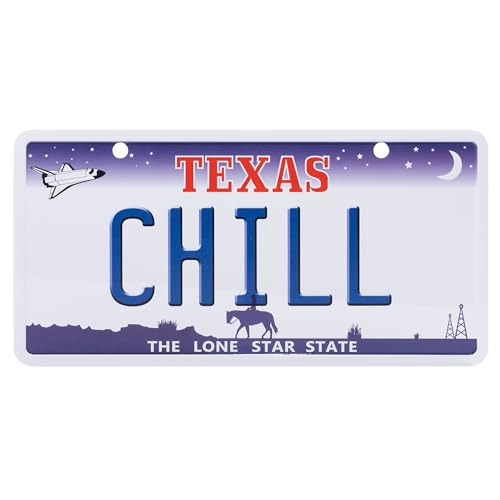USA Staatskennzeichen mit Namen. Namensschild aus Aluminium. Wandschild, Tafel, Türschild. US-Kennzeichen. Schild mit Saugnäpfen. (CHILL) von power gift