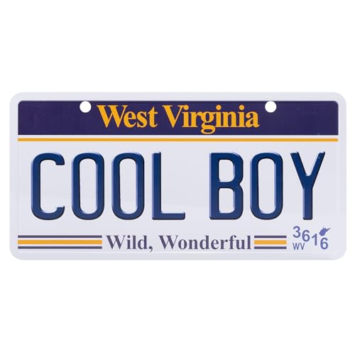USA Staatskennzeichen mit Namen. Namensschild aus Aluminium. Wandschild, Tafel, Türschild. US-Kennzeichen. Schild mit Saugnäpfen. (COOL BOY) von power gift
