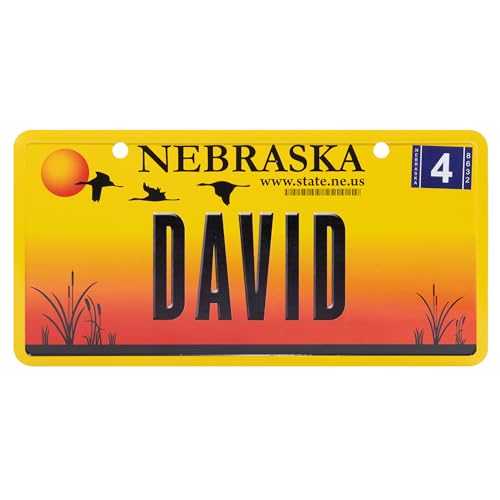 USA Staatskennzeichen mit Namen. Namensschild aus Aluminium. Wandschild, Tafel, Türschild. US-Kennzeichen. Schild mit Saugnäpfen. (David) von power gift