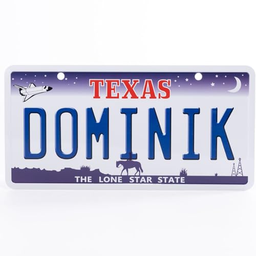 USA Staatskennzeichen mit Namen. Namensschild aus Aluminium. Wandschild, Tafel, Türschild. US-Kennzeichen. Schild mit Saugnäpfen. (DOMINIK) von power gift