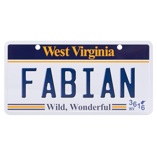 USA Staatskennzeichen mit Namen. Namensschild aus Aluminium. Wandschild, Tafel, Türschild. US-Kennzeichen. Schild mit Saugnäpfen. (FABIAN) von power gift