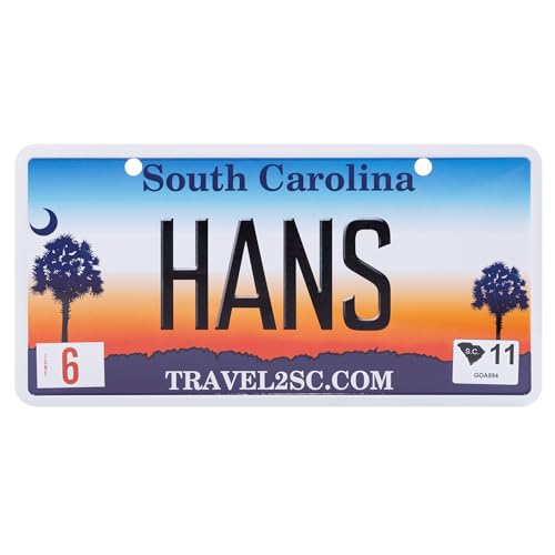 USA Staatskennzeichen mit Namen. Namensschild aus Aluminium. Wandschild, Tafel, Türschild. US-Kennzeichen. Schild mit Saugnäpfen. (HANS) von power gift
