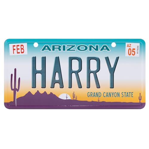 USA Staatskennzeichen mit Namen. Namensschild aus Aluminium. Wandschild, Tafel, Türschild. US-Kennzeichen. Schild mit Saugnäpfen. (HARRY) von power gift