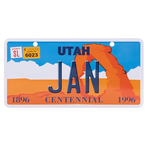 USA Staatskennzeichen mit Namen. Namensschild aus Aluminium. Wandschild, Tafel, Türschild. US-Kennzeichen. Schild mit Saugnäpfen. (JAN) von power gift