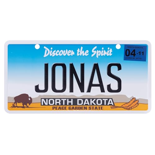 USA Staatskennzeichen mit Namen. Namensschild aus Aluminium. Wandschild, Tafel, Türschild. US-Kennzeichen. Schild mit Saugnäpfen. (JONAS) von power gift