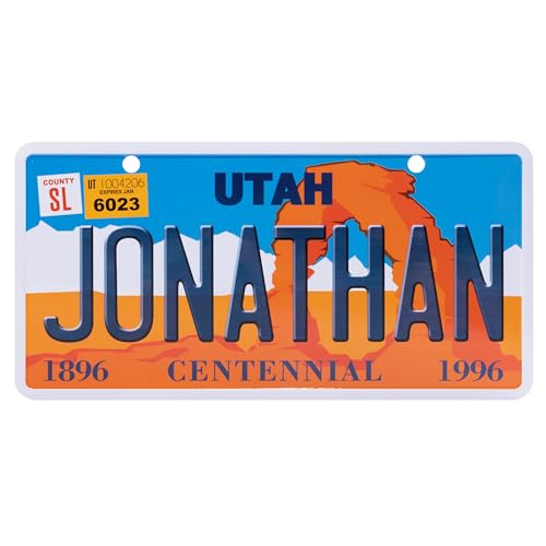 USA Staatskennzeichen mit Namen. Namensschild aus Aluminium. Wandschild, Tafel, Türschild. US-Kennzeichen. Schild mit Saugnäpfen. (JONATHAN) von power gift