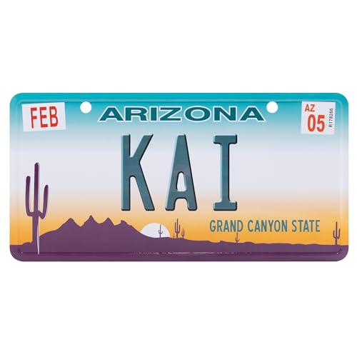 USA Staatskennzeichen mit Namen. Namensschild aus Aluminium. Wandschild, Tafel, Türschild. US-Kennzeichen. Schild mit Saugnäpfen. (KAI) von power gift