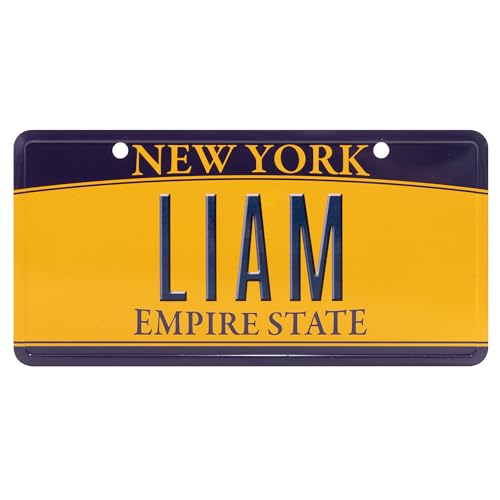 USA Staatskennzeichen mit Namen. Namensschild aus Aluminium. Wandschild, Tafel, Türschild. US-Kennzeichen. Schild mit Saugnäpfen. (LIAM) von power gift