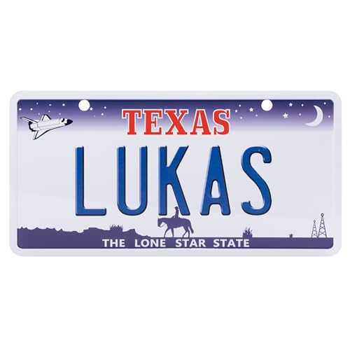 USA Staatskennzeichen mit Namen. Namensschild aus Aluminium. Wandschild, Tafel, Türschild. US-Kennzeichen. Schild mit Saugnäpfen. (LUKAS) von power gift