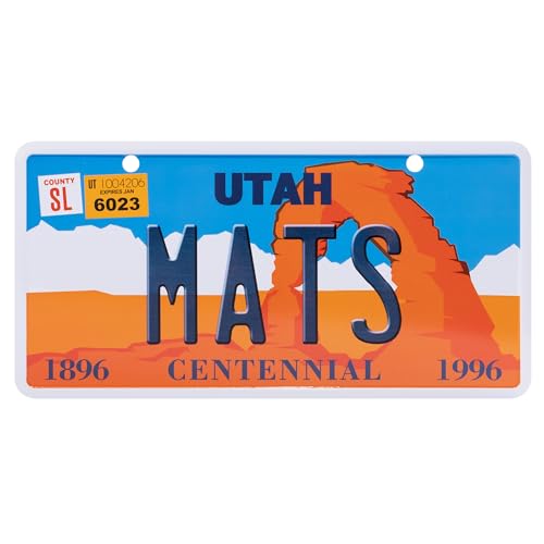 USA Staatskennzeichen mit Namen. Namensschild aus Aluminium. Wandschild, Tafel, Türschild. US-Kennzeichen. Schild mit Saugnäpfen. (MATS) von power gift