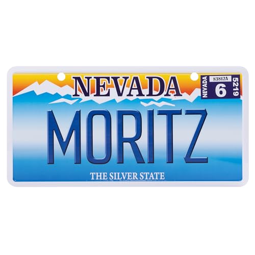 USA Staatskennzeichen mit Namen. Namensschild aus Aluminium. Wandschild, Tafel, Türschild. US-Kennzeichen. Schild mit Saugnäpfen. (Moritz) von power gift