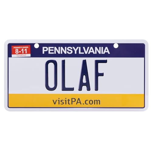USA Staatskennzeichen mit Namen. Namensschild aus Aluminium. Wandschild, Tafel, Türschild. US-Kennzeichen. Schild mit Saugnäpfen. (OLAF) von power gift