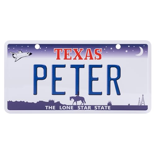 USA Staatskennzeichen mit Namen. Namensschild aus Aluminium. Wandschild, Tafel, Türschild. US-Kennzeichen. Schild mit Saugnäpfen. (PETER) von power gift