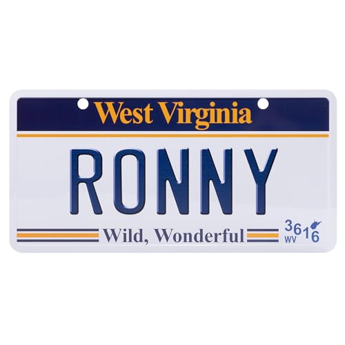 USA Staatskennzeichen mit Namen. Namensschild aus Aluminium. Wandschild, Tafel, Türschild. US-Kennzeichen. Schild mit Saugnäpfen. (RONNY) von power gift