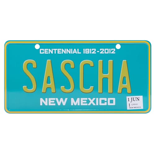 USA Staatskennzeichen mit Namen. Namensschild aus Aluminium. Wandschild, Tafel, Türschild. US-Kennzeichen. Schild mit Saugnäpfen. (SASCHA) von power gift