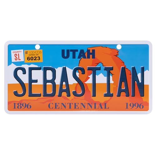 USA Staatskennzeichen mit Namen. Namensschild aus Aluminium. Wandschild, Tafel, Türschild. US-Kennzeichen. Schild mit Saugnäpfen. (SEBASTIAN) von power gift