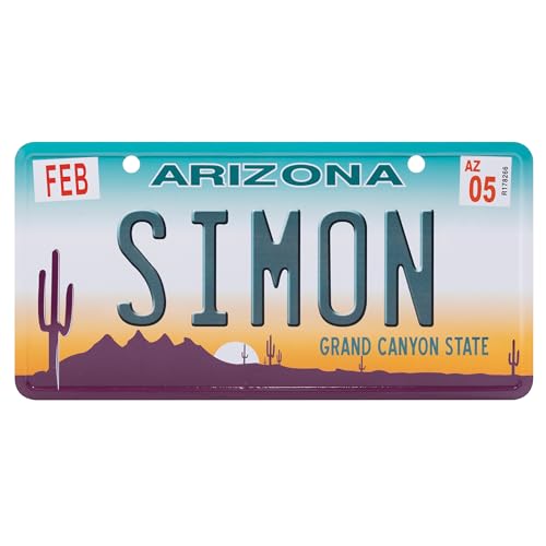 USA Staatskennzeichen mit Namen. Namensschild aus Aluminium. Wandschild, Tafel, Türschild. US-Kennzeichen. Schild mit Saugnäpfen. (SIMON) von power gift