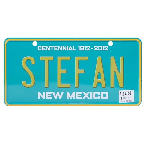 USA Staatskennzeichen mit Namen. Namensschild aus Aluminium. Wandschild, Tafel, Türschild. US-Kennzeichen. Schild mit Saugnäpfen. (STEFAN) von power gift
