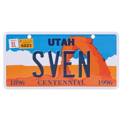 USA Staatskennzeichen mit Namen. Namensschild aus Aluminium. Wandschild, Tafel, Türschild. US-Kennzeichen. Schild mit Saugnäpfen. (SVEN) von power gift