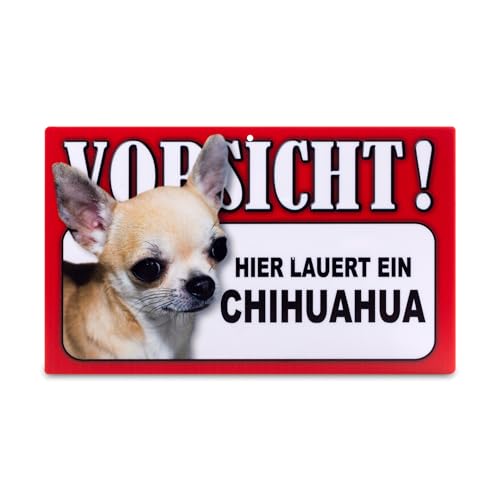 power gift - Auffallendes Warnschild. Schild mit lustigen Text und Hunde Abbildung. Tor, Tür und Gartenschild. Warnzeichen. Sicherheitsschild. Tafel. Tierwarnschild. (CHIHUAHUA) von power gift