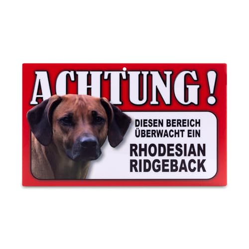 power gift - Auffallendes Warnschild. Schild mit lustigen Text und Hunde Abbildung. Tor, Tür und Gartenschild. Warnzeichen. Sicherheitsschild. Tafel. Tierwarnschild. (RHODESIAN RIDGEBACK) von power gift