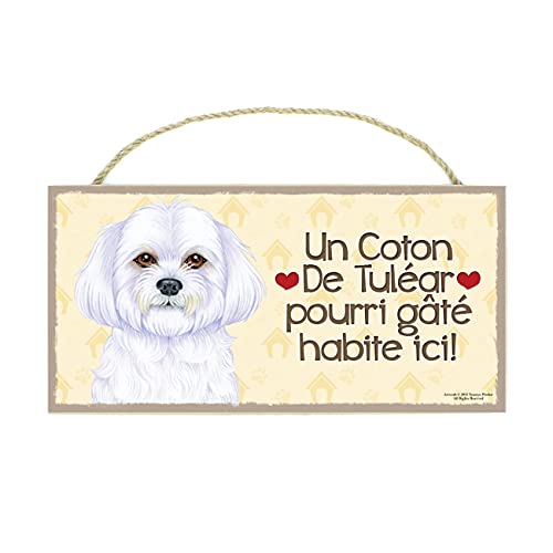power gift Cotton de Tulear. Wanddekoration, Holzschild. Aufschrift mit Ihrem Lieblingstier. Dekoratives Schild aus Holz für Ihr Zuhause. Beste Qualität. von power gift