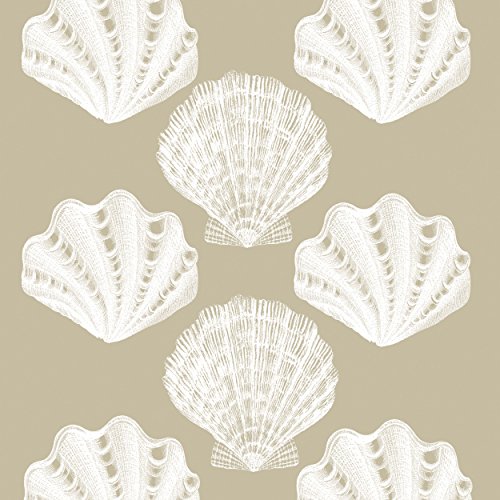 PPD Riviera Shells Taupe Servietten, 20 Stück, Tischservietten, Tissue, Taupe / Weiß, 33 x 33 cm, 1332000 von Paperproducts Design