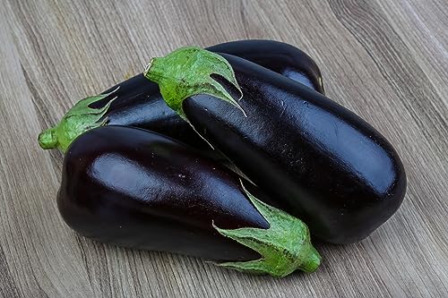 BIO Gemüse Saatgut (BIO Aubergine Black Beauty) von prademir