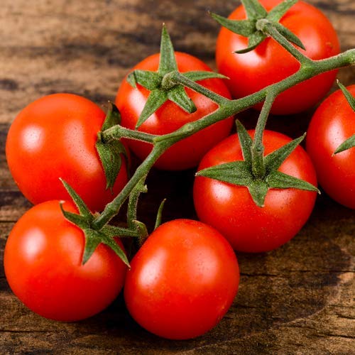 Cherry-Tomate Kirsch-Tomate 25 x Samen aus Portugal 100% Natur (Ohne Chemie) Massenträger mit vielen Früchten (25 Samen) von prademir
