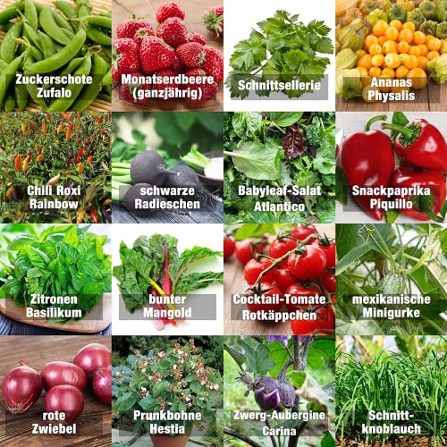 Prademir – Gemüsesamen Set “Indoor-Mix” aus 16 Sorten Premium Gemüse Samen – samenfestes Gemüse Saatgut für Balkon, Gewächshaus, Wohnung, Terrasse & Fensterbank – nahezu 100% Keimrate von prademir