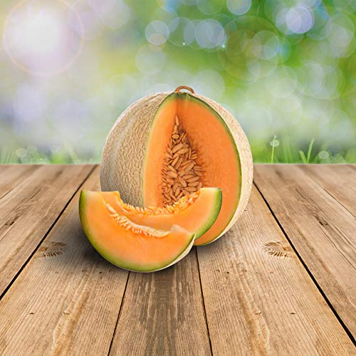 Melon Ananas d'America 25 x Samen - 100% Natursamen, Superfruchtig und Herrlich Erfrischend von prademir