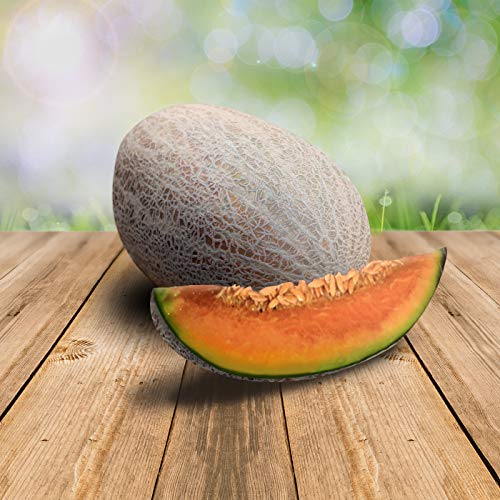 Melon Casca de Carvalho 25 x Samen - 100% Natursamen, Superfruchtig und Herrlich Erfrischend von prademir