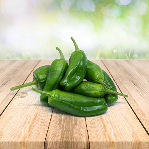 Prademir – Pimento de Padron Samen zur Anzucht von Bratpaprika Pflanzen – 25x Pimientos Samen mit hoher Keimrate für Garten, Balkon & Terrasse – handverlesen aus Portugal – 100% Natursamen ohne Chemie von prademir