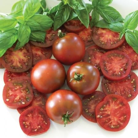 Prademir Tomaten Saatgut Sorte Oziris 50 x Samen Stabtomate aussergewöhnlich reich an Früchten von prademir