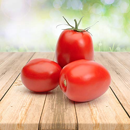 Tomato ''Rio Grande'' 25 x Samen aus Portugal 100% Natursamen ohne chemische Anzuchthilfen oder Gentechnik von prademir