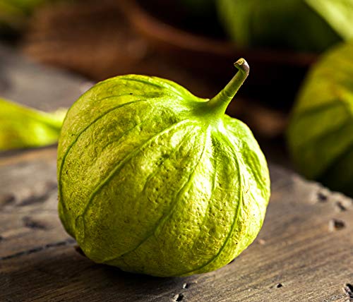 Tomatillo/Mexiko-Tomate verde 25 x Samen 100% Natursamen aus Portugal von prademir