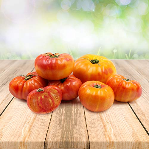 Tomato ''Ananas'' 25 x Samen aus Portugal 100% Natursamen ohne chemische Anzuchthilfen oder Gentechnik von prademir