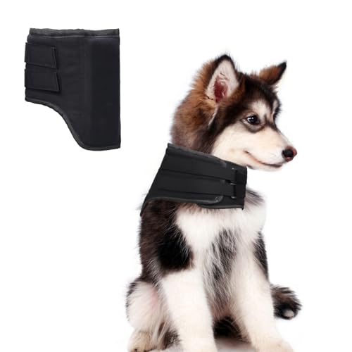 Haustier-Halsbandage, Halsbandage für Hunde, zur Schmerzlinderung, verhindert Nackenverletzungen, Verstauchungen, Bissschutz, Lecken, Wundheilung Haustier-Halsbandage, Halsbandage für Hunde, zur Schmerzlinderung, verhindert Nackenverletzungen, Verstauchungen, Bissschutz, Lecken, Wundheilung von pranovo