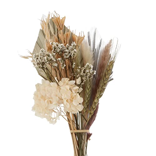 predolo 2 Stück Getrocknete Blumensträuße für Hochzeiten und Boho-Dekoration - Einzigartige Naturschönheit für besondere Anlässe , Rose von predolo