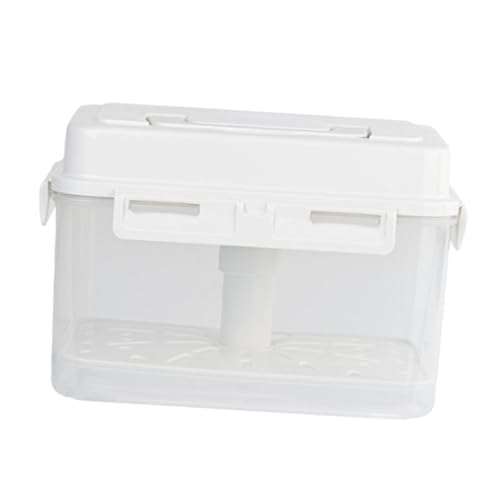 predolo Kimchi Press Ferment Aufbewahrungsbehälter, Lebensmittelaufbewahrungsbehälter, Kühlschrank Organizer, Pressplatte, Frischhaltebox für Kühlschrank, 4L Einmachglas von predolo