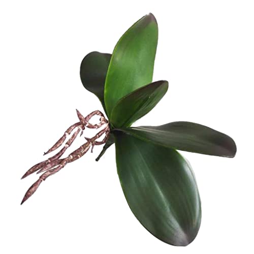 predolo Künstliche Grüne Orchideenblätter Pflanzen Arrangement für Bonsai Dekor, C von predolo
